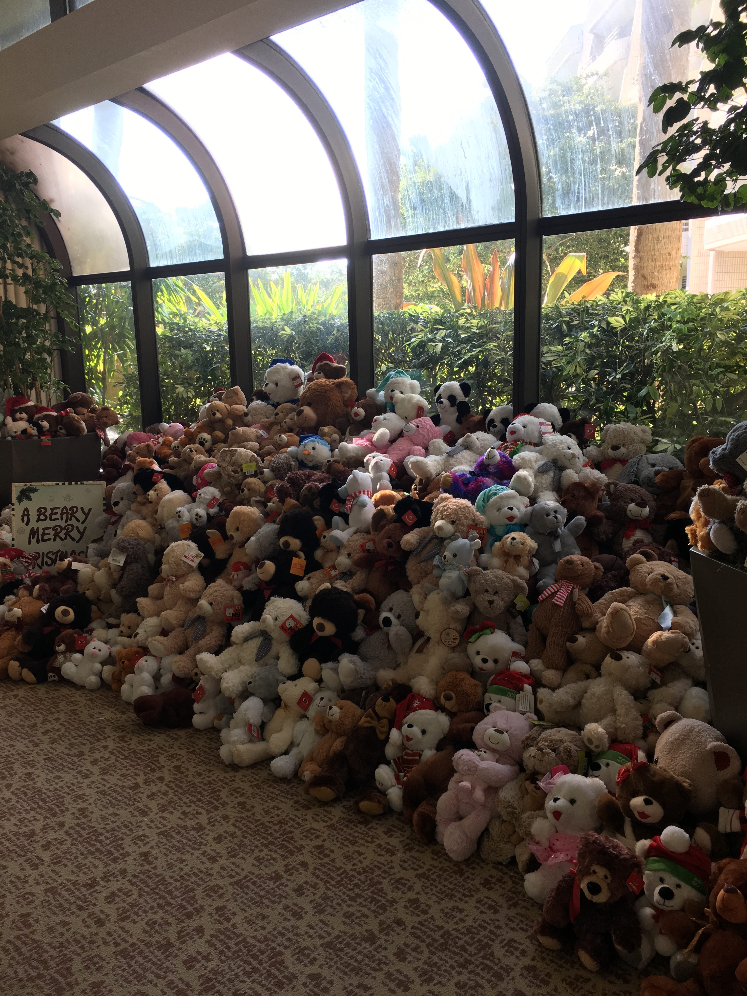 WCCP Holiday Photo - Teddy Bear Donations